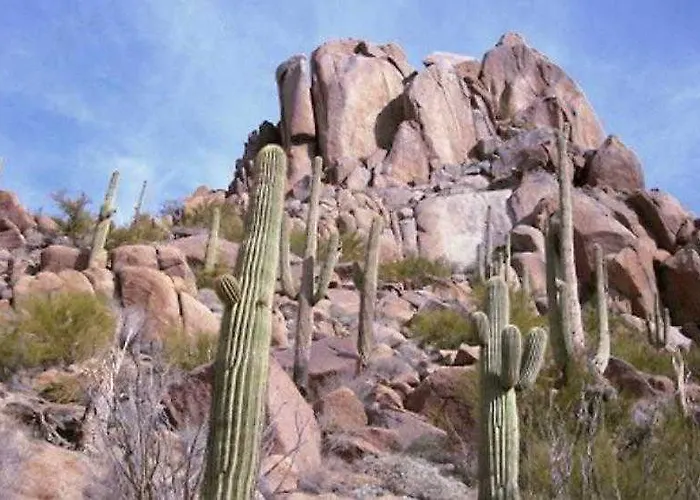 Sonesta Es Paradise Valley Hotel